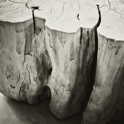 grain log